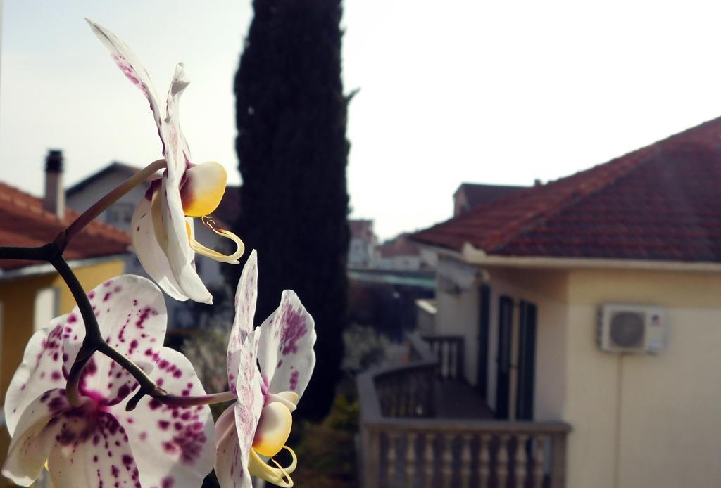 Apartmán Luciana Zadar Exteriér fotografie