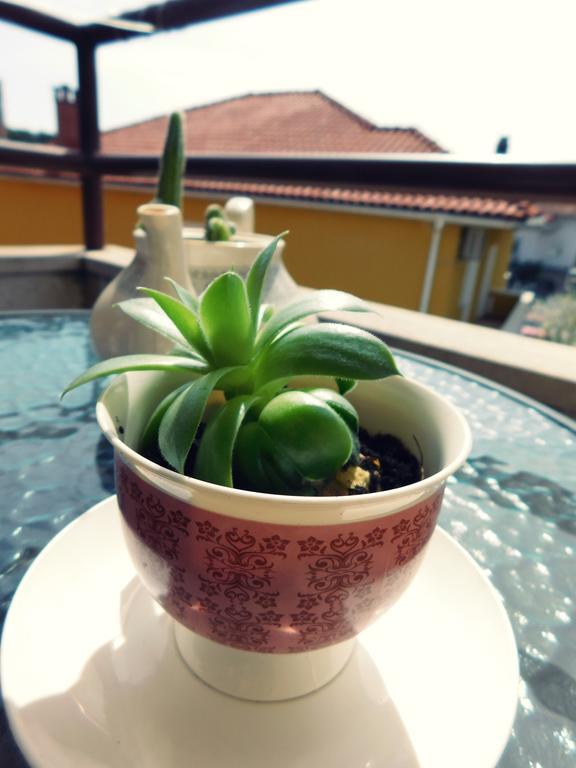 Apartmán Luciana Zadar Exteriér fotografie