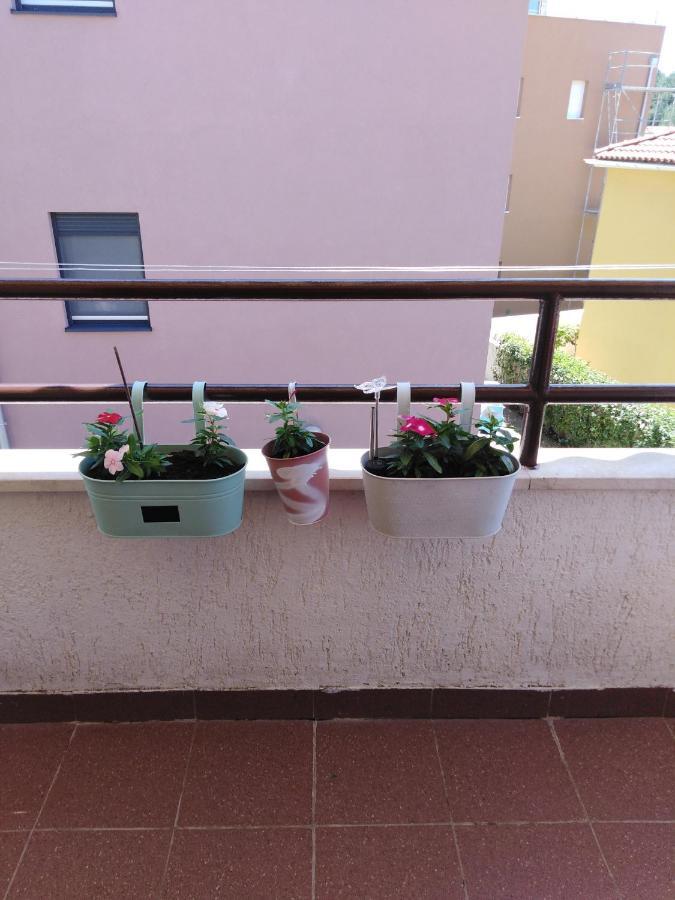 Apartmán Luciana Zadar Exteriér fotografie